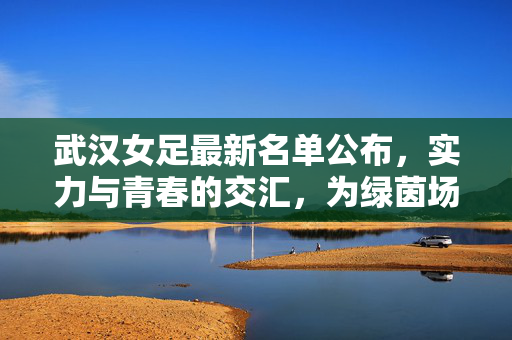 武汉女足最新名单公布，实力与青春的交汇，为绿茵场再启征程