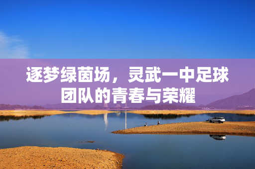 逐梦绿茵场，灵武一中足球团队的青春与荣耀