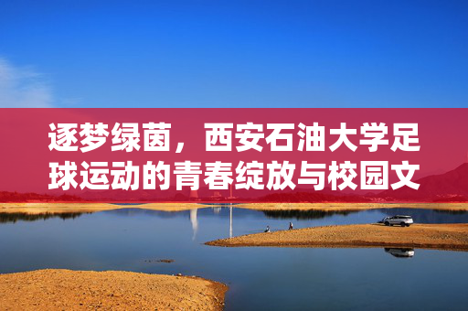逐梦绿茵，西安石油大学足球运动的青春绽放与校园文化传承，逐梦绿茵，西安石油大学足球运动的青春绽放与校园文化传承