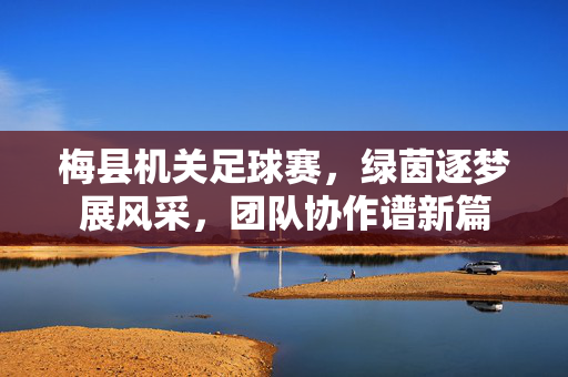 梅县机关足球赛,绿茵逐梦展风采,团队协作谱新篇