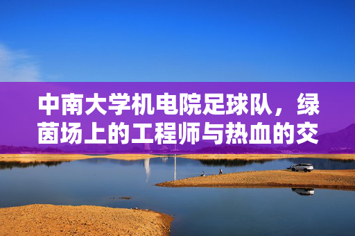 中南大学机电院足球队，绿茵场上的工程师与热血的交响