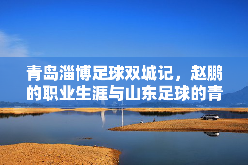 青岛淄博足球双城记，赵鹏的职业生涯与山东足球的青春印记