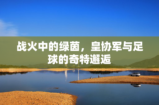 战火中的绿茵，皇协军与足球的奇特邂逅