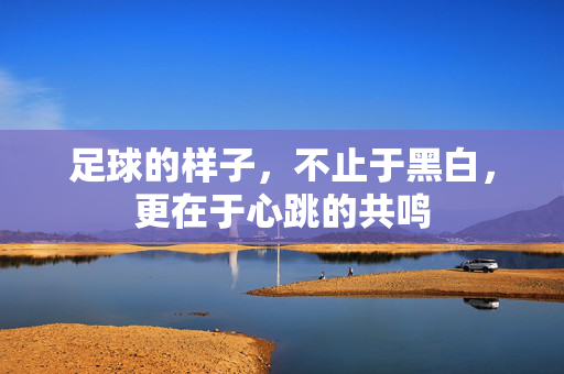 足球的样子，不止于黑白，更在于心跳的共鸣