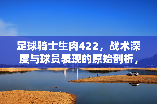 足球骑士生肉422，战术深度与球员表现的原始剖析，足球骑士生肉422，战术深度与球员表现的原始剖析