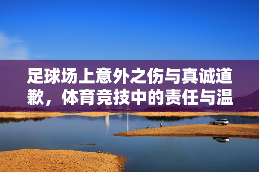 足球场上意外之伤与真诚道歉，体育竞技中的责任与温度