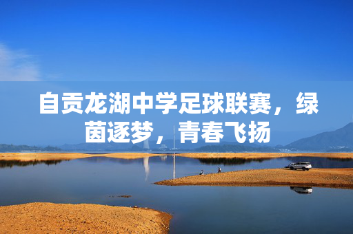 自贡龙湖中学足球联赛，绿茵逐梦，青春飞扬