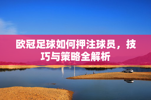 欧冠足球如何押注球员,技巧与策略全解析