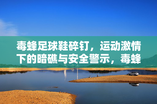 毒蜂足球鞋碎钉，运动激情下的暗礁与安全警示，毒蜂足球鞋碎钉，运动激情下的暗礁与安全警示