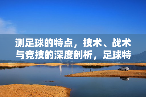 测足球的特点，技术、战术与竞技的深度剖析，足球特点，技术、战术与竞技的深度剖析