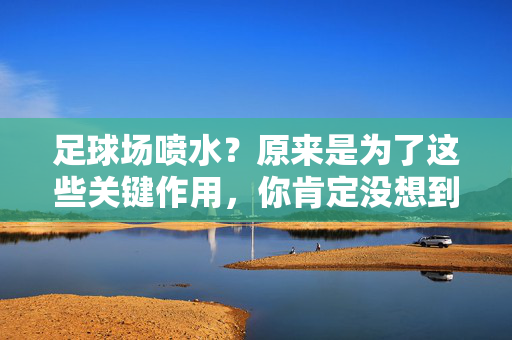 足球场喷水？原来是为了这些关键作用，你肯定没想到！