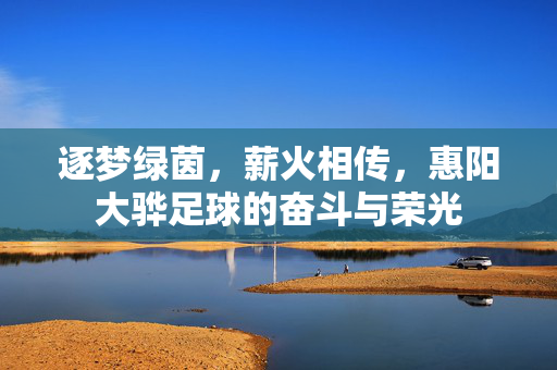 逐梦绿茵，薪火相传，惠阳大骅足球的奋斗与荣光