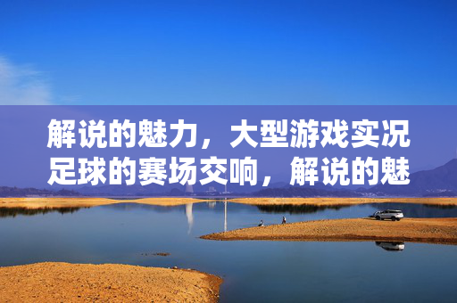 解说的魅力，大型游戏实况足球的赛场交响，解说的魅力，大型游戏实况足球的赛场交响