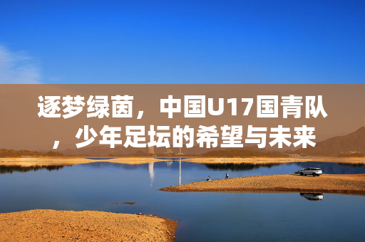 逐梦绿茵，中国U17国青队，少年足坛的希望与未来