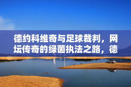 德约科维奇与足球裁判，网坛传奇的绿茵执法之路，德约科维奇与足球裁判，网坛传奇的绿茵执法之路