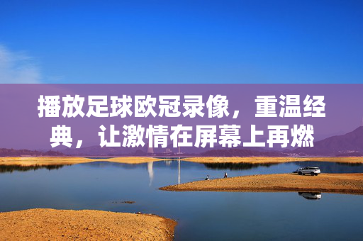 播放足球欧冠录像，重温经典，让激情在屏幕上再燃