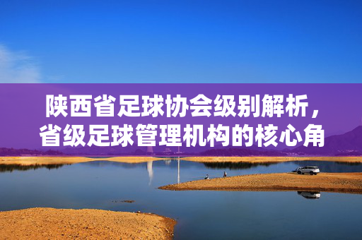 陕西省足球协会级别解析，省级足球管理机构的核心角色与区域发展使命