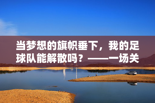 当梦想的旗帜垂下，我的足球队能解散吗？——一场关于坚持与现实的拷问
