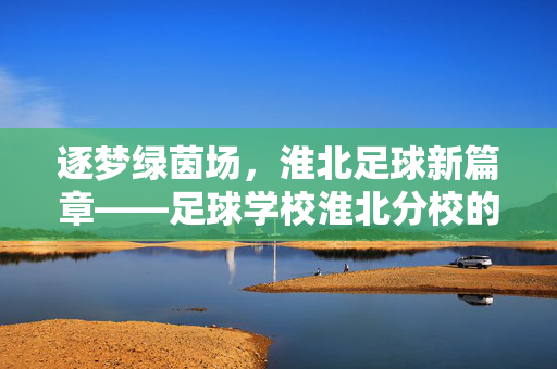 逐梦绿茵场,淮北足球新篇章——足球学校淮北分校的成长足迹