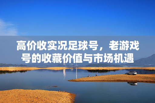 高价收实况足球号，老游戏号的收藏价值与市场机遇