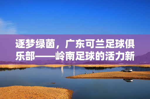 逐梦绿茵，广东可兰足球俱乐部——岭南足球的活力新声