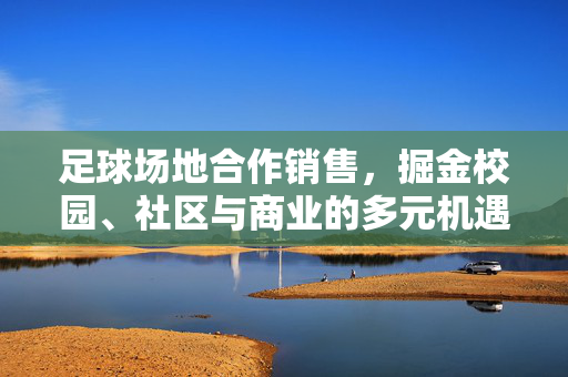 足球场地合作销售，掘金校园、社区与商业的多元机遇