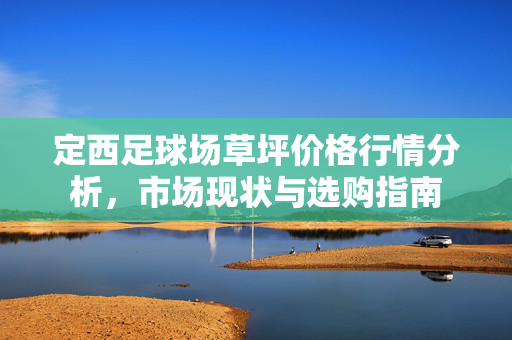 定西足球场草坪价格行情分析，市场现状与选购指南