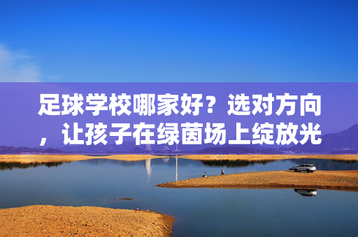 足球学校哪家好？选对方向，让孩子在绿茵场上绽放光芒