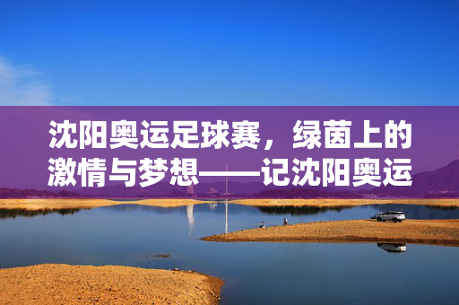 沈阳奥运足球赛，绿茵上的激情与梦想——记沈阳奥运会足球比赛盛况