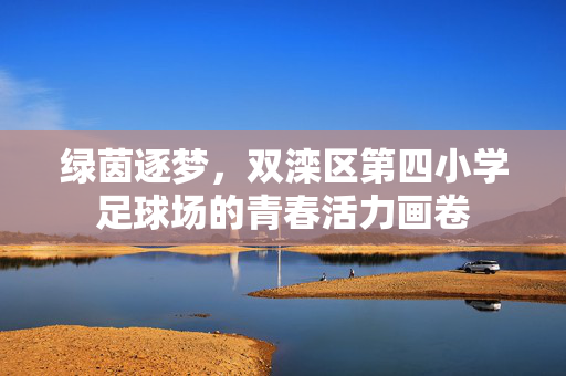 绿茵逐梦，双滦区第四小学足球场的青春活力画卷