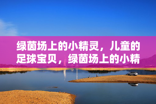 绿茵场上的小精灵，儿童的足球宝贝，绿茵场上的小精灵，儿童的足球宝贝