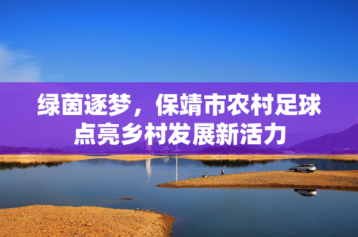 绿茵逐梦，保靖市农村足球点亮乡村发展新活力