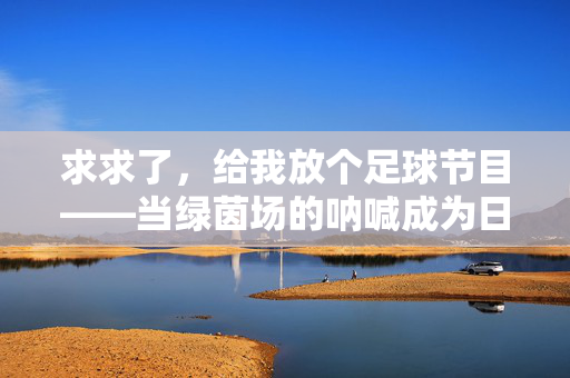 求求了，给我放个足球节目——当绿茵场的呐喊成为日常的解药