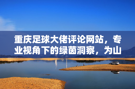 重庆足球大佬评论网站，专业视角下的绿茵洞察，为山城球迷点亮足球激情，重庆足球评论，专业视角下的绿茵洞察，为山城球迷点亮足球激情