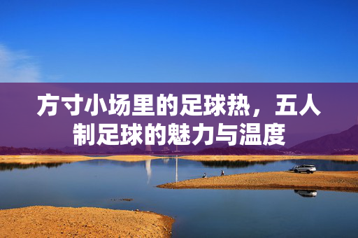 方寸小场里的足球热，五人制足球的魅力与温度