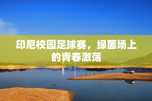 印尼校园足球赛，绿茵场上的青春激荡