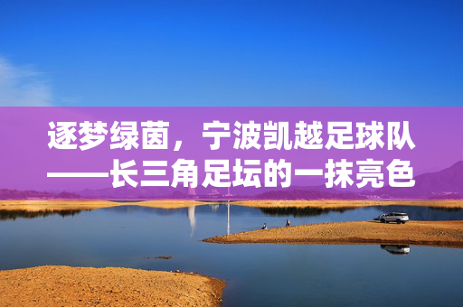 逐梦绿茵，宁波凯越足球队——长三角足坛的一抹亮色与青春力量，逐梦绿茵，宁波凯越足球队——长三角足坛的一抹亮色与青春力量