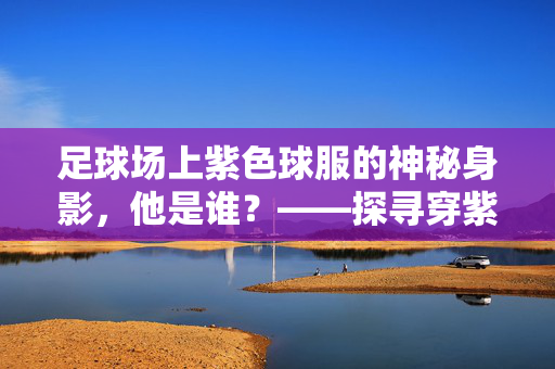 足球场上紫色球服的神秘身影，他是谁？——探寻穿紫色球衣的球员身份与球队背景，足球场上紫色球服的神秘身影，他是谁？——探寻穿紫色球衣的球员身份与球队背景