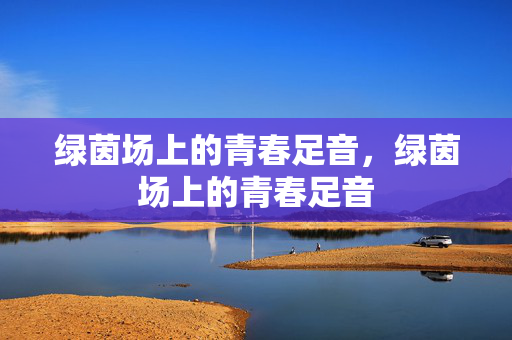 绿茵场上的青春足音，绿茵场上的青春足音