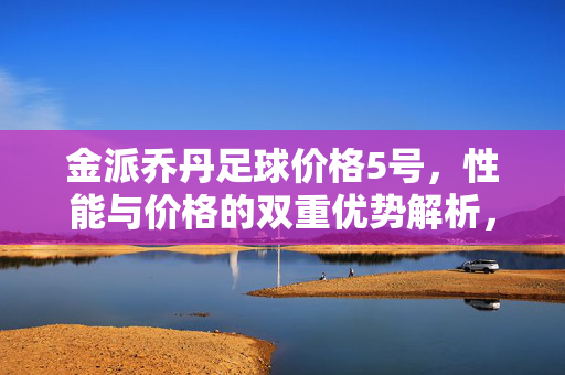 金派乔丹足球价格5号，性能与价格的双重优势解析，金派乔丹足球价格5号，性能与价格的双重优势解析