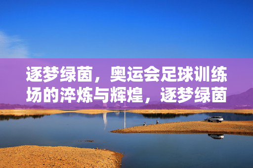 逐梦绿茵，奥运会足球训练场的淬炼与辉煌，逐梦绿茵，奥运会足球训练场的淬炼与辉煌