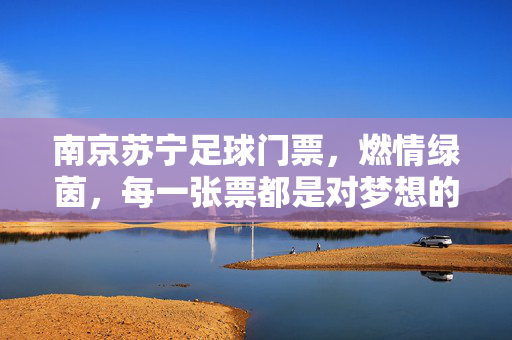南京苏宁足球门票，燃情绿茵，每一张票都是对梦想的注解，南京苏宁足球门票，燃情绿茵，每一张票都是对梦想的注解