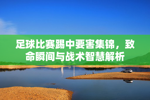 足球比赛踢中要害集锦，致命瞬间与战术智慧解析