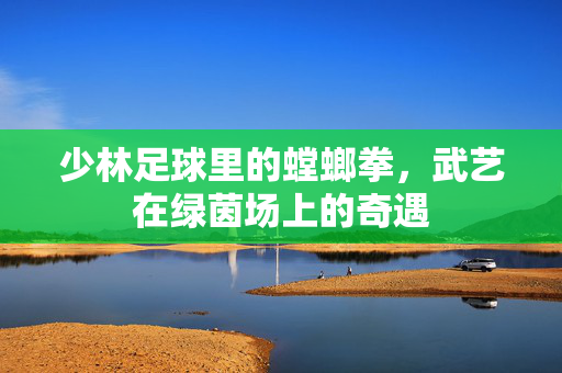 少林足球里的螳螂拳，武艺在绿茵场上的奇遇
