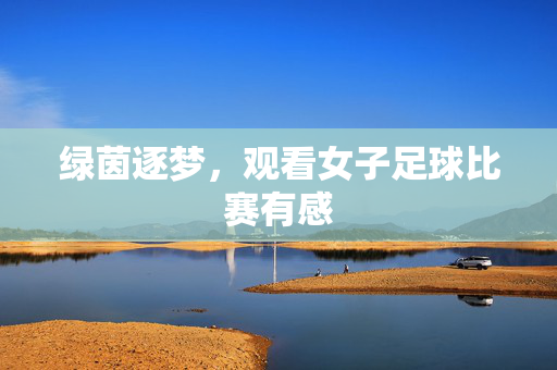 绿茵逐梦，观看女子足球比赛有感