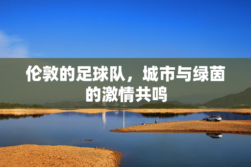 伦敦的足球队，城市与绿茵的激情共鸣