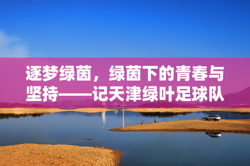 逐梦绿茵，绿茵下的青春与坚持——记天津绿叶足球队，逐梦绿茵，绿茵下的青春与坚持——记天津绿叶足球队
