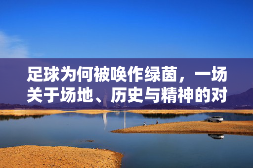 足球为何被唤作绿茵，一场关于场地、历史与精神的对话