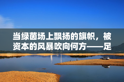 当绿茵场上飘扬的旗帜，被资本的风暴吹向何方——足球，资本的游戏还是竞技的殿堂？
