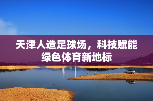 天津人造足球场，科技赋能绿色体育新地标
